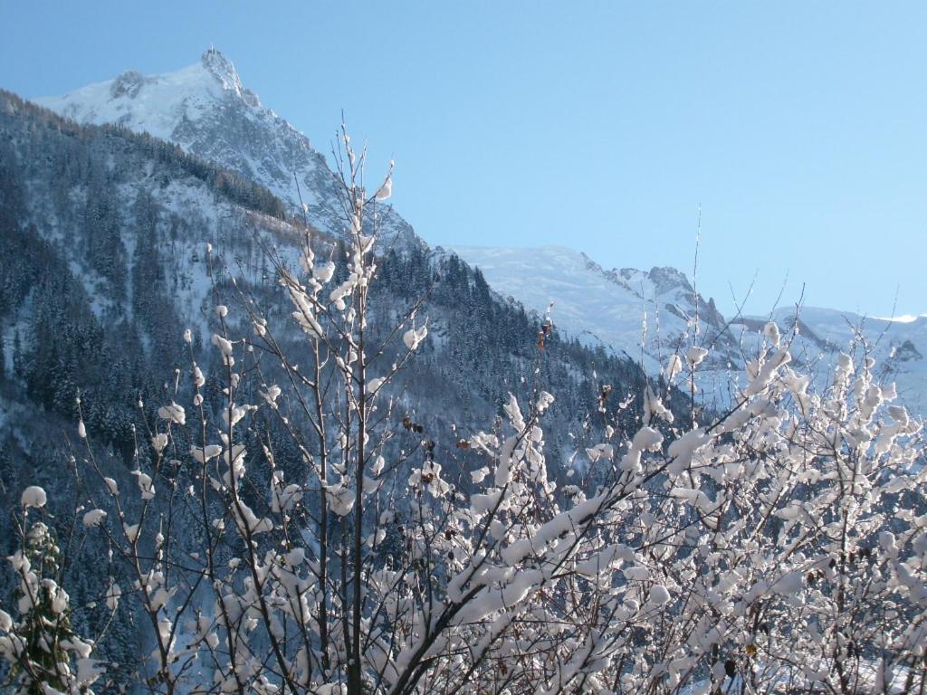 Appartement T2 Chamonix Centre Balcon Vue Mont Blanc Exterior photo